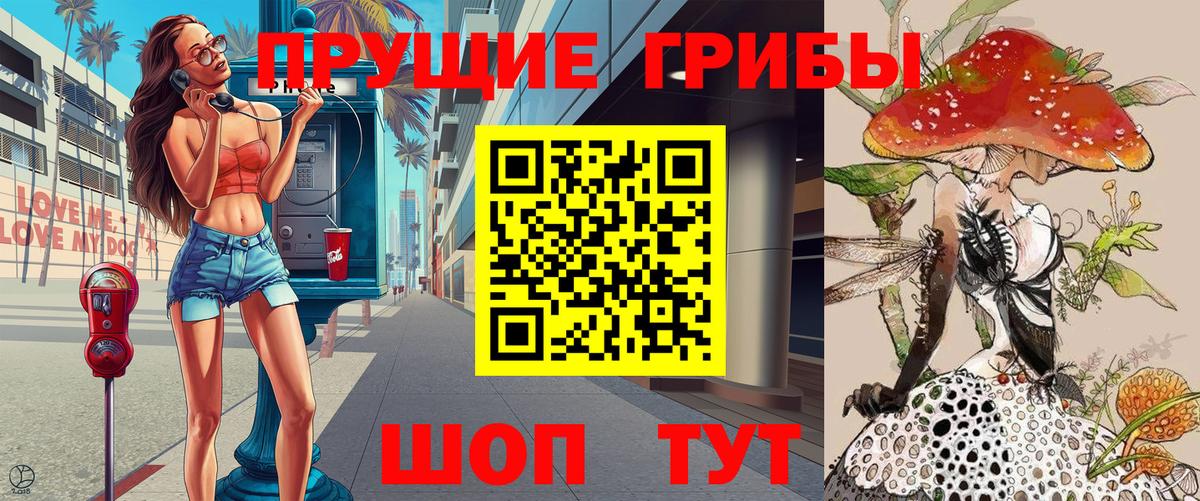 Приморско-Ахтарск  Псилоцибиновые грибы GOLDEN TEACHER  Вход с VPN  Псилоцибиновые грибы Cubensis 